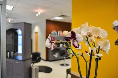 Business Photo