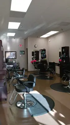 Shampoo Salon