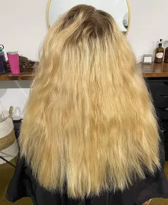 Wren & Ivy Salon Co