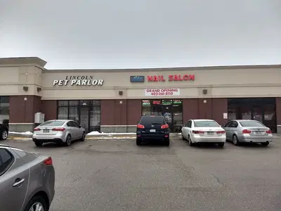 Business Photo
