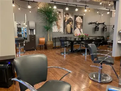 M & Company Hair and Color Lounge