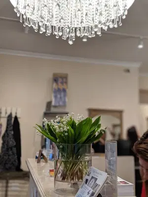 High Society Salon