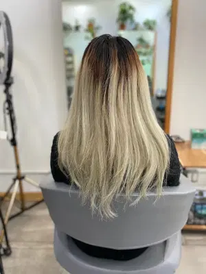 Salonhqz Inc