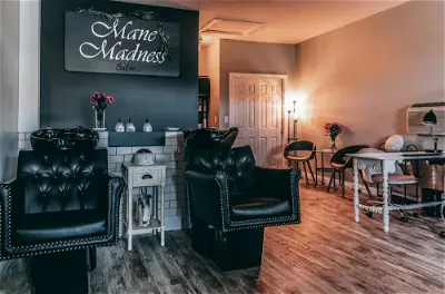 Mane Madness Salon LLC