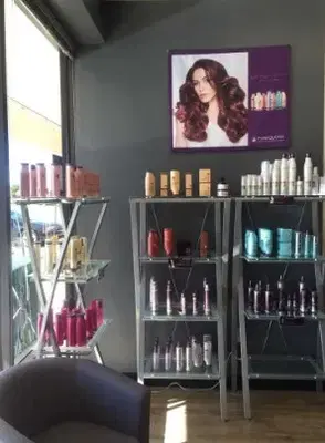 Vision Salon LLC