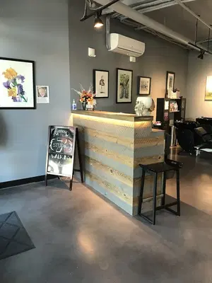 Studio 7 Hair Designers
