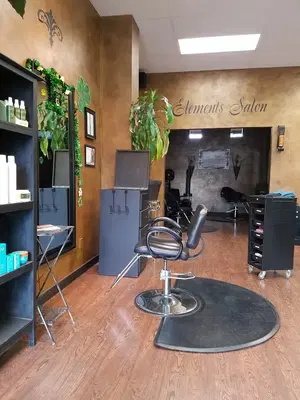 Elements Salon