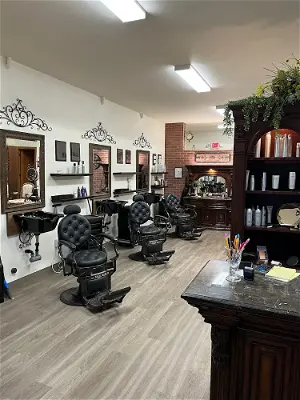 The Grey Hair Salon