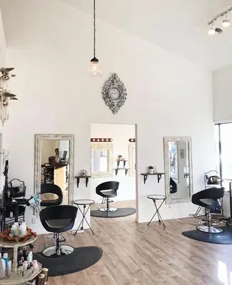 Lush Salon