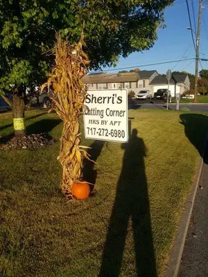 Sherri's Cutting Corner