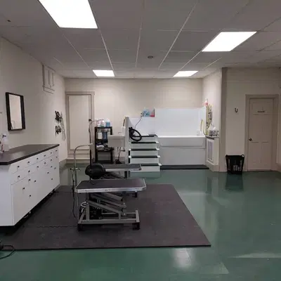 The Lucky Dog Grooming Company