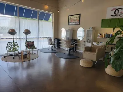 The Hair Society