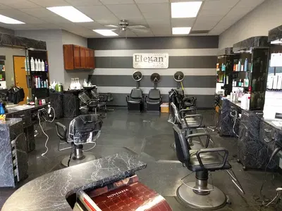 Elegant Hair & Spa
