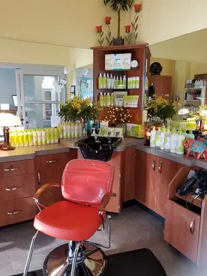 Sola Salon Studios