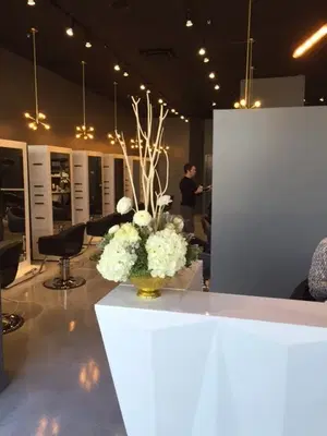 ROC CØCØ SALON