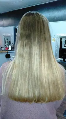 Tanglez Ii Salon