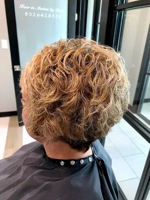 Hair In Motion by Dana at Posh Salon Suites
