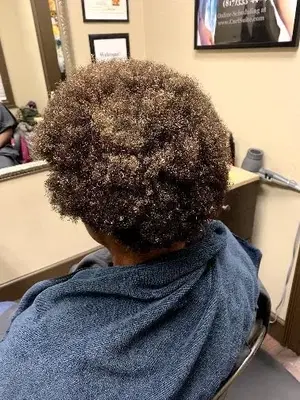 Curl Suite Salon