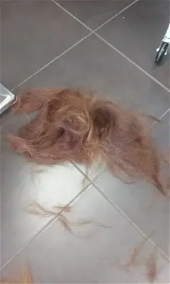 Hair Trendz Salon