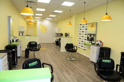 Lemon Tree Hair Salon Dallas Central Forest