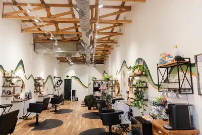 The Stargazer Salon