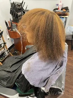 Styles The Salon /STS Plus Accessories