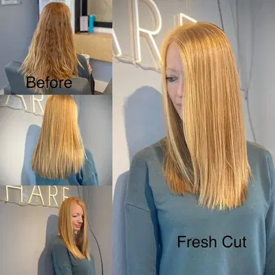 Hare House of Beauty