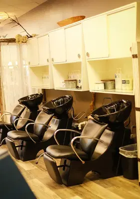 Maeve Gray Salon