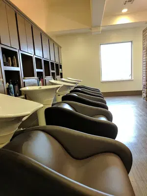 Element by Salon Amis