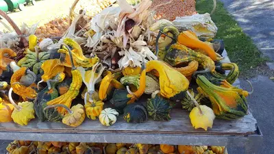Roberta's Hair & Nails