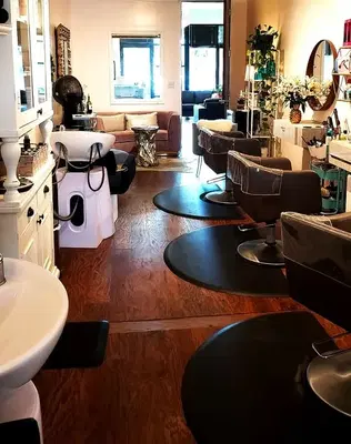 Gibson & Co. Salon