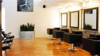 Shear Excellence Hair Salon & Day Spa
