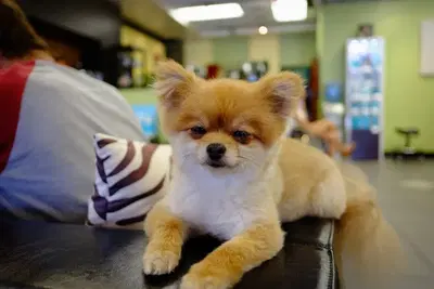Business Photo