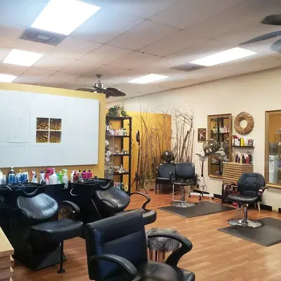 B Hive Salon