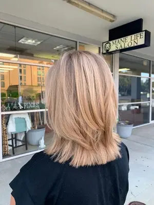 Mane Life Salon, Inc.