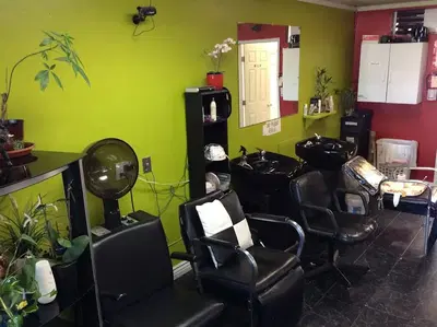 Hollylooks Beauty Salon