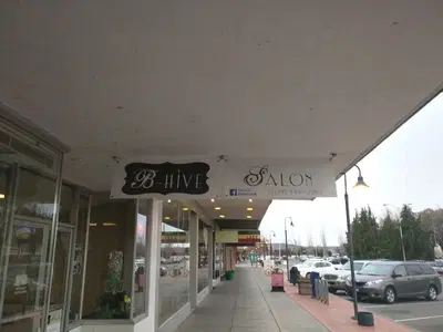 B Hive