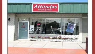Attitudes