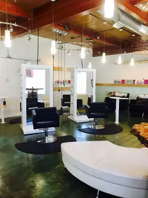 V Salon