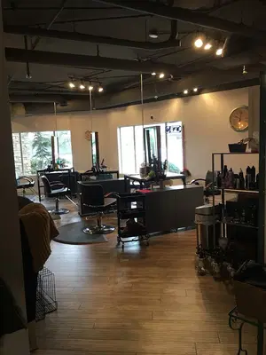 Vintage The Salon, Inc.