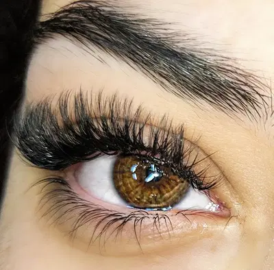 Everything Lovely Lash, LLC