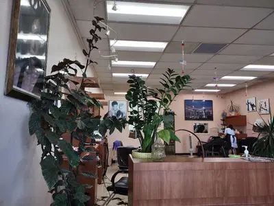 Business Photo