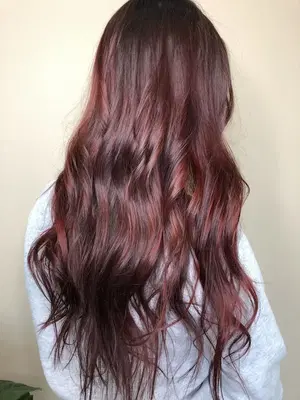 The Hair Lab Salon