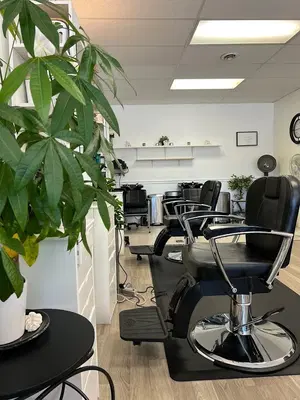Sophia Touran Microblading, Threading, and Shaping Eyebrows (aka Glam by Touran’s Persian)
