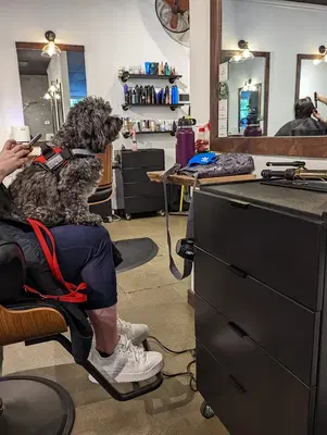 Business Photo