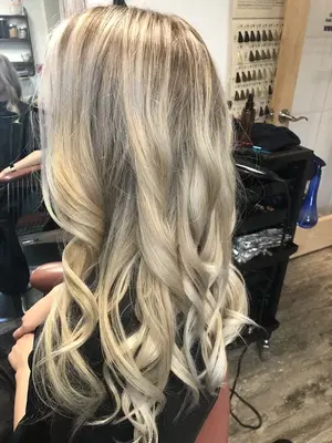 Bloom Organic Hair Salon